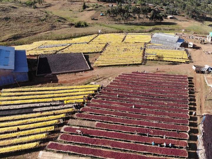Uraga washing station in Guji Region of Ethiopia.