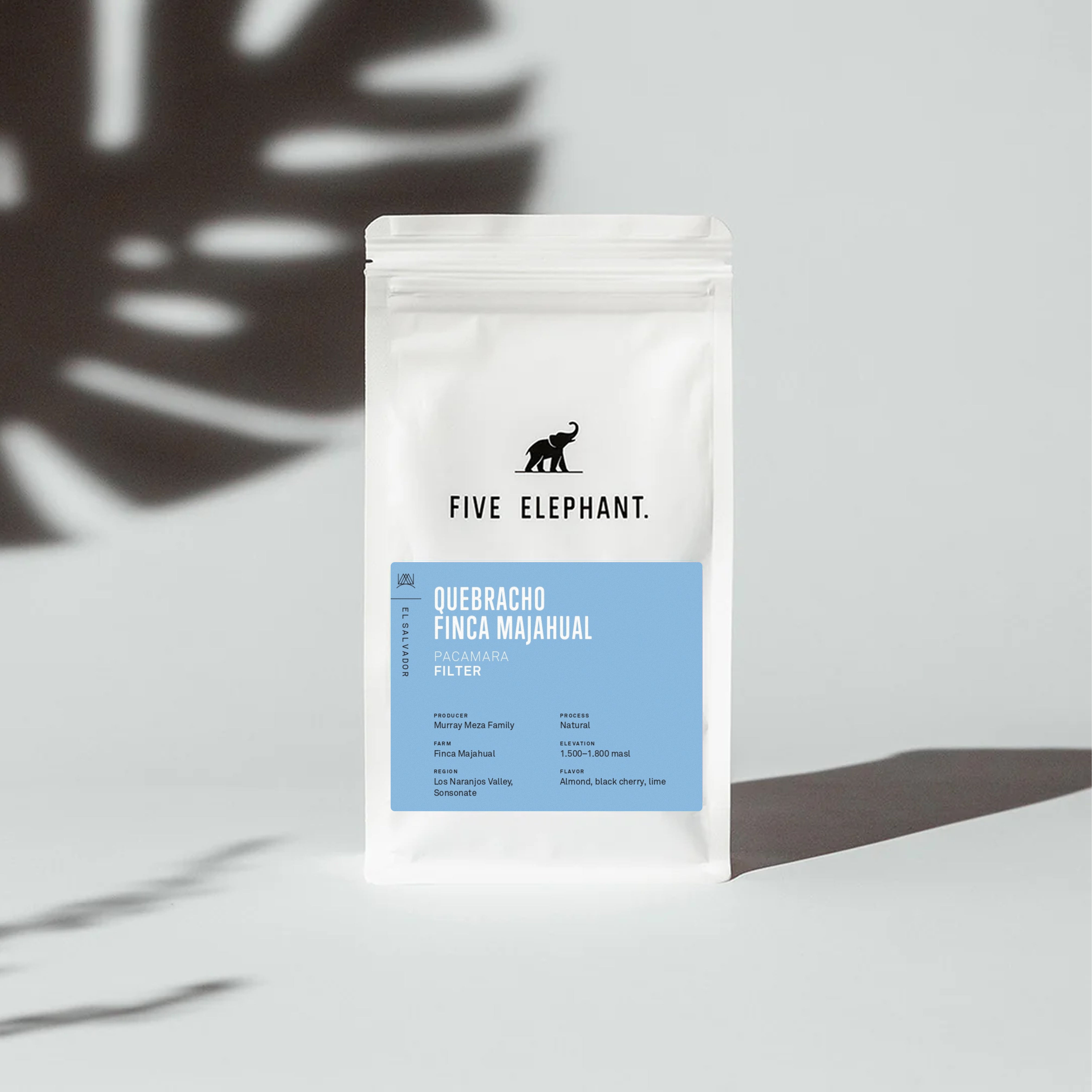 EL SALVADOR Quebracho Pacamara Natural – Filter — new release filter roast specialty coffee, Five Elephant